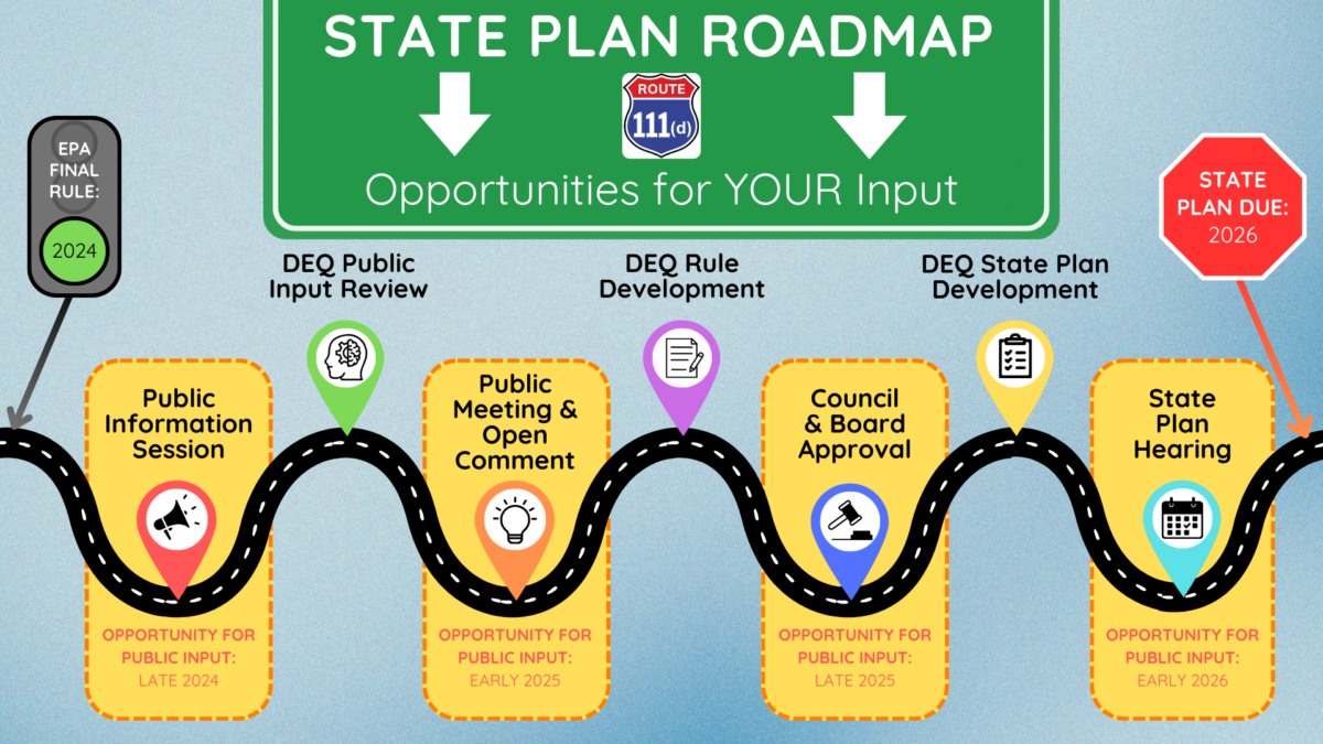 111d State Plan Roadmap